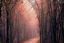 AC米兰豪胜勒切，保持不败纪录